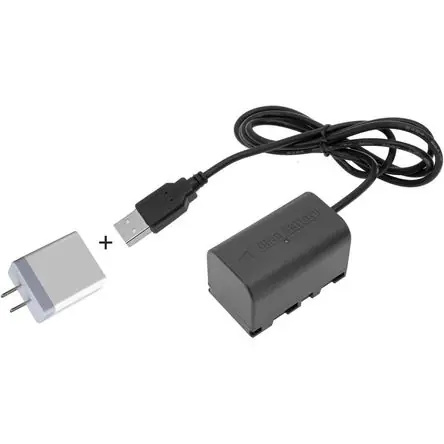 Adaptador de Batería Dummy GyroVu USB a JVC BN-VF823 con Fuente de Alimentación USB - Salida Regulad Soddisfatti O Rimborsati