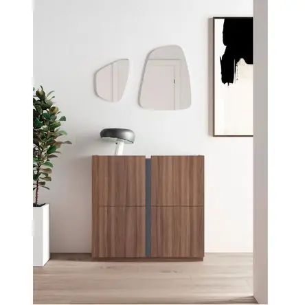 Compra Online Zapatera Recibidor Moderno Godoy Marrón/Negro R&R MUEBLES