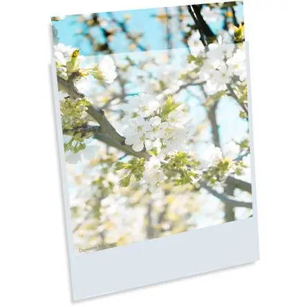 Pocket de Presentación BOPP 3.2 mil (17 x 22 Promozione