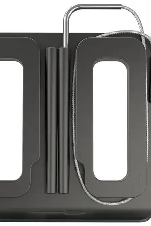Compra Oggi Stesso Ninja Termómetro inteligente XSKPROBEXL Woodfire | Negro/Plateado