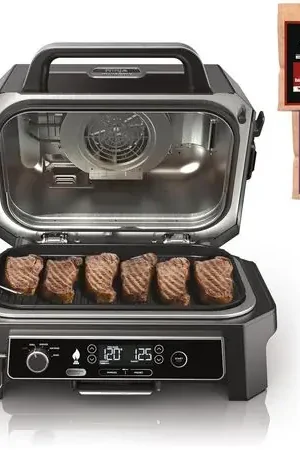 Ninja Parrilla y ahumador Woodfire Pro XL OG850 4 en 1, | Gris oscuro Ultimissimo Modello