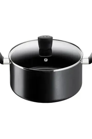 Olla Con Tapa 22cm Supercook T-Fal Professionale