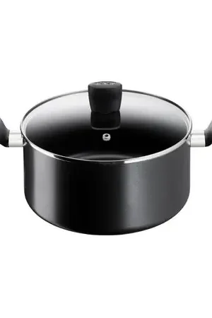 Nuova Collezione Olla Con Tapa 24cm Supercook T-Fal