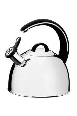 Offerta Lampo TETERA ACERO INOXIDABLE 3.35 LT 61488/213 TRAMONTINA